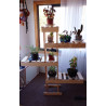 Soporte Floral